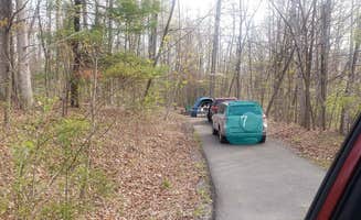 Jean C.'s photo of rv camping at Seneca Shadows near Belington, WV