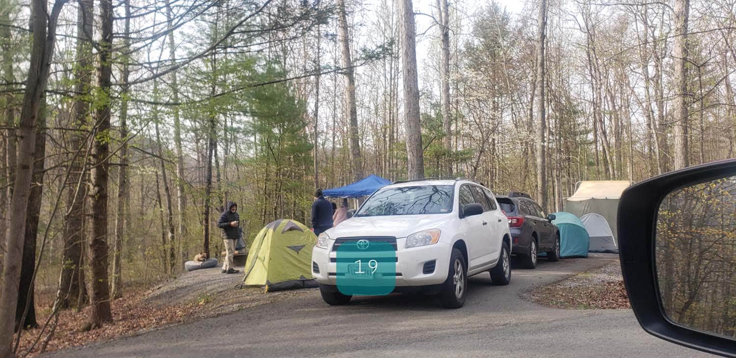 Jean C.'s photo at Seneca Shadows near Dryfork, WV