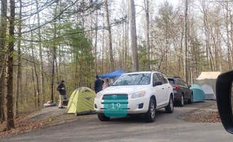 Jean C.'s photo at Seneca Shadows near Upper Tract, WV