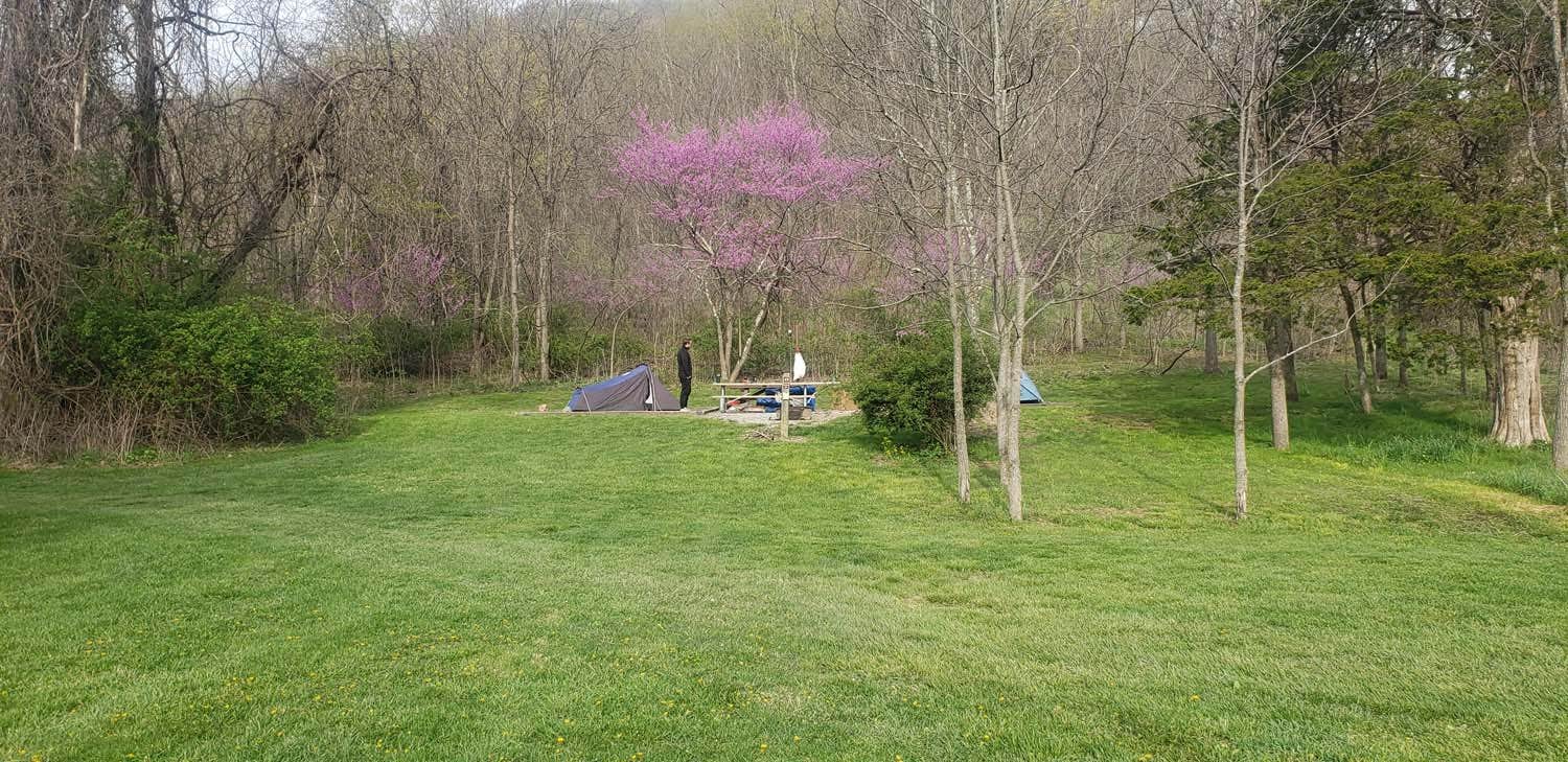 Jean C.'s photo at Seneca Shadows near Red Creek, WV