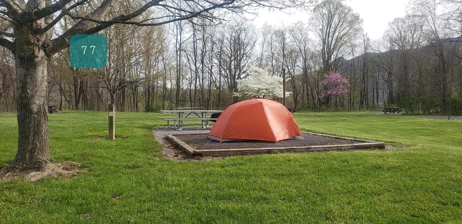 Jean C.'s photo at Seneca Shadows near Seneca Rocks, WV