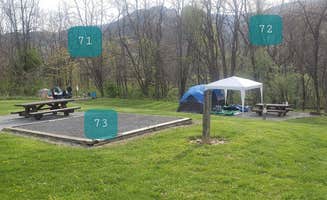 Jean C.'s photo at Seneca Shadows near Brandywine, WV