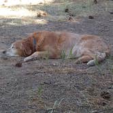 Review photo of Firefighters Campground by Katie L., July 2, 2018