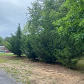 Review photo of Little River RV Park & Campground by Asher K., October 1, 2021