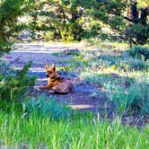 Review photo of Firefighters Campground by Katie L., July 2, 2018