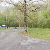 Review photo of Army Camp — New River Gorge National Park and Preserve by Jean C., October 1, 2021