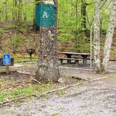 Review photo of Army Camp — New River Gorge National Park and Preserve by Jean C., October 1, 2021