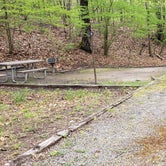 Review photo of Army Camp — New River Gorge National Park and Preserve by Jean C., October 1, 2021