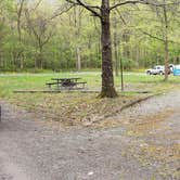 Review photo of Army Camp — New River Gorge National Park and Preserve by Jean C., October 1, 2021