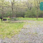 Review photo of Army Camp — New River Gorge National Park and Preserve by Jean C., October 1, 2021