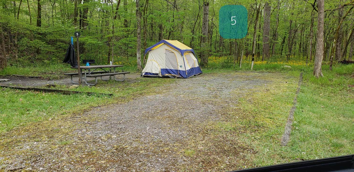 Jean C.'s photo at Army Camp — New River Gorge National Park and Preserve near Scarbro, WV