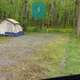 Review photo of Army Camp — New River Gorge National Park and Preserve by Jean C., October 1, 2021