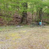 Review photo of Army Camp — New River Gorge National Park and Preserve by Jean C., October 1, 2021