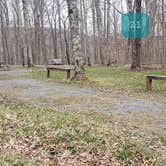 Review photo of Spruce Knob Lake Campground by Jean C., October 1, 2021