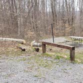 Review photo of Spruce Knob Lake Campground by Jean C., October 1, 2021