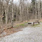 Review photo of Spruce Knob Lake Campground by Jean C., October 1, 2021