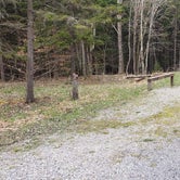 Review photo of Spruce Knob Lake Campground by Jean C., October 1, 2021