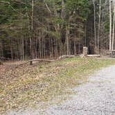 Review photo of Spruce Knob Lake Campground by Jean C., October 1, 2021