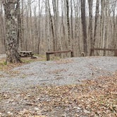 Review photo of Spruce Knob Lake Campground by Jean C., October 1, 2021