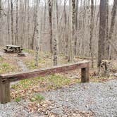 Review photo of Spruce Knob Lake Campground by Jean C., October 1, 2021