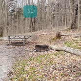 Review photo of Spruce Knob Lake Campground by Jean C., October 1, 2021