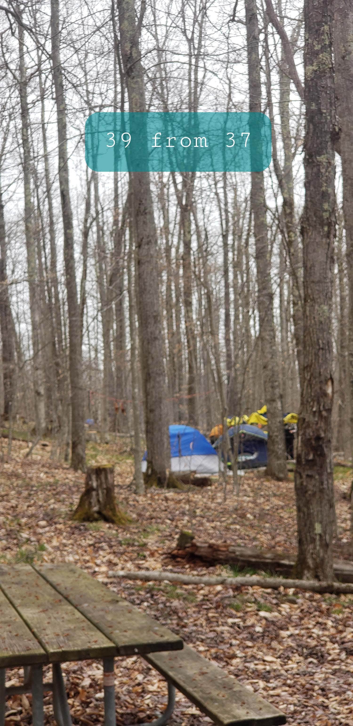 Jean C.'s photo at Spruce Knob Lake Campground near Blue Grass, VA