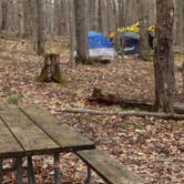 Review photo of Spruce Knob Lake Campground by Jean C., October 1, 2021