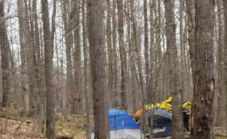 Jean C.'s photo at Spruce Knob Lake Campground near Blue Grass, VA