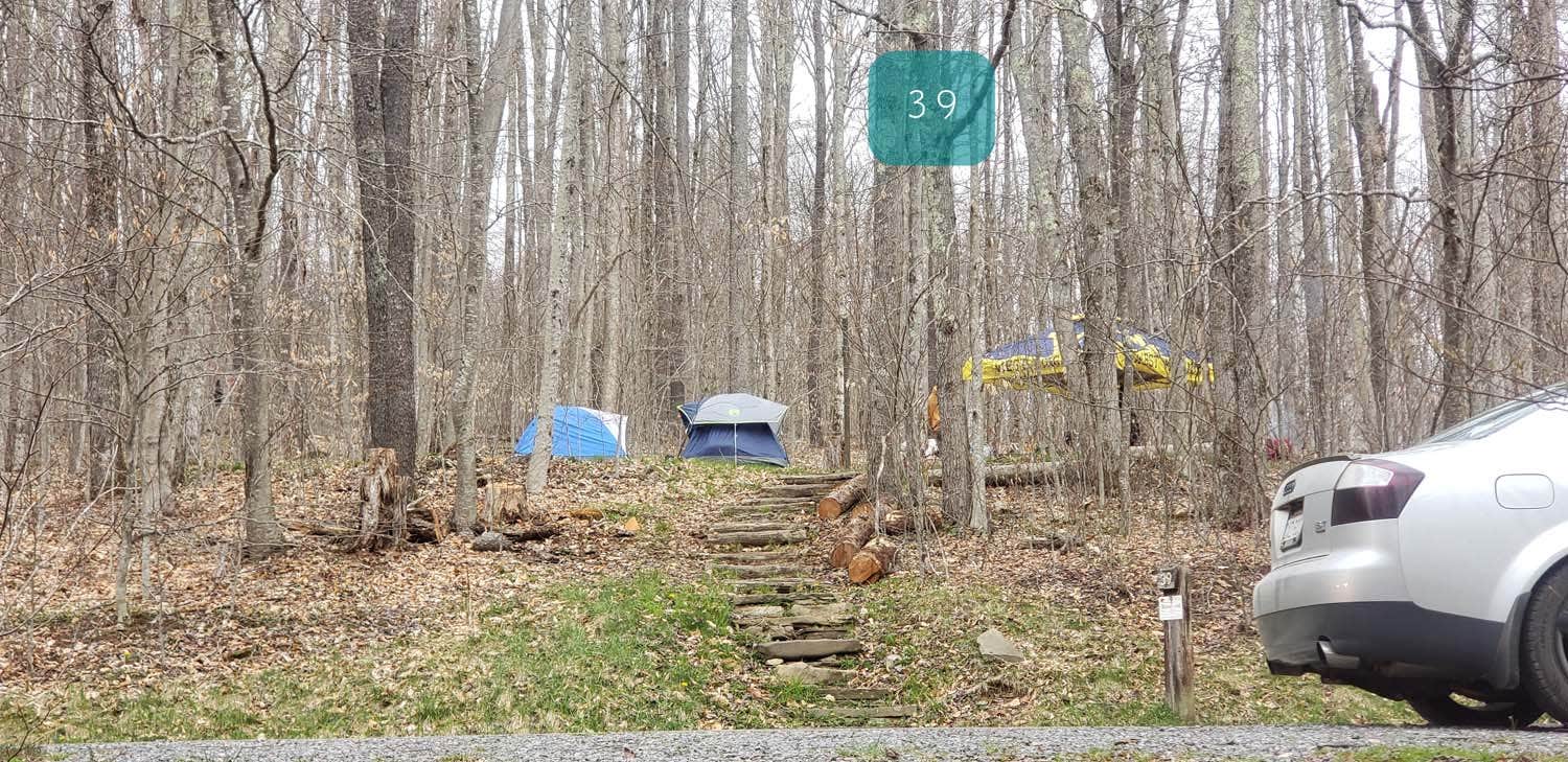 Jean C.'s photo at Spruce Knob Lake Campground near Seneca Rocks, WV