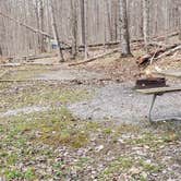 Review photo of Spruce Knob Lake Campground by Jean C., October 1, 2021