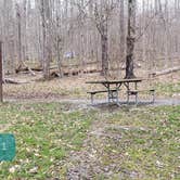 Review photo of Spruce Knob Lake Campground by Jean C., October 1, 2021