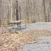 Review photo of Spruce Knob Lake Campground by Jean C., October 1, 2021