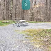 Review photo of Spruce Knob Lake Campground by Jean C., October 1, 2021