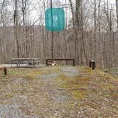 Review photo of Spruce Knob Lake Campground by Jean C., October 1, 2021