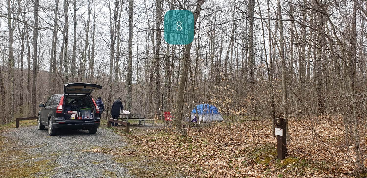 Jean C.'s photo at Spruce Knob Lake Campground near Blue Grass, VA