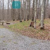 Review photo of Spruce Knob Lake Campground by Jean C., October 1, 2021