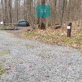 Review photo of Spruce Knob Lake Campground by Jean C., October 1, 2021