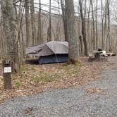 Review photo of Spruce Knob Lake Campground by Jean C., October 1, 2021