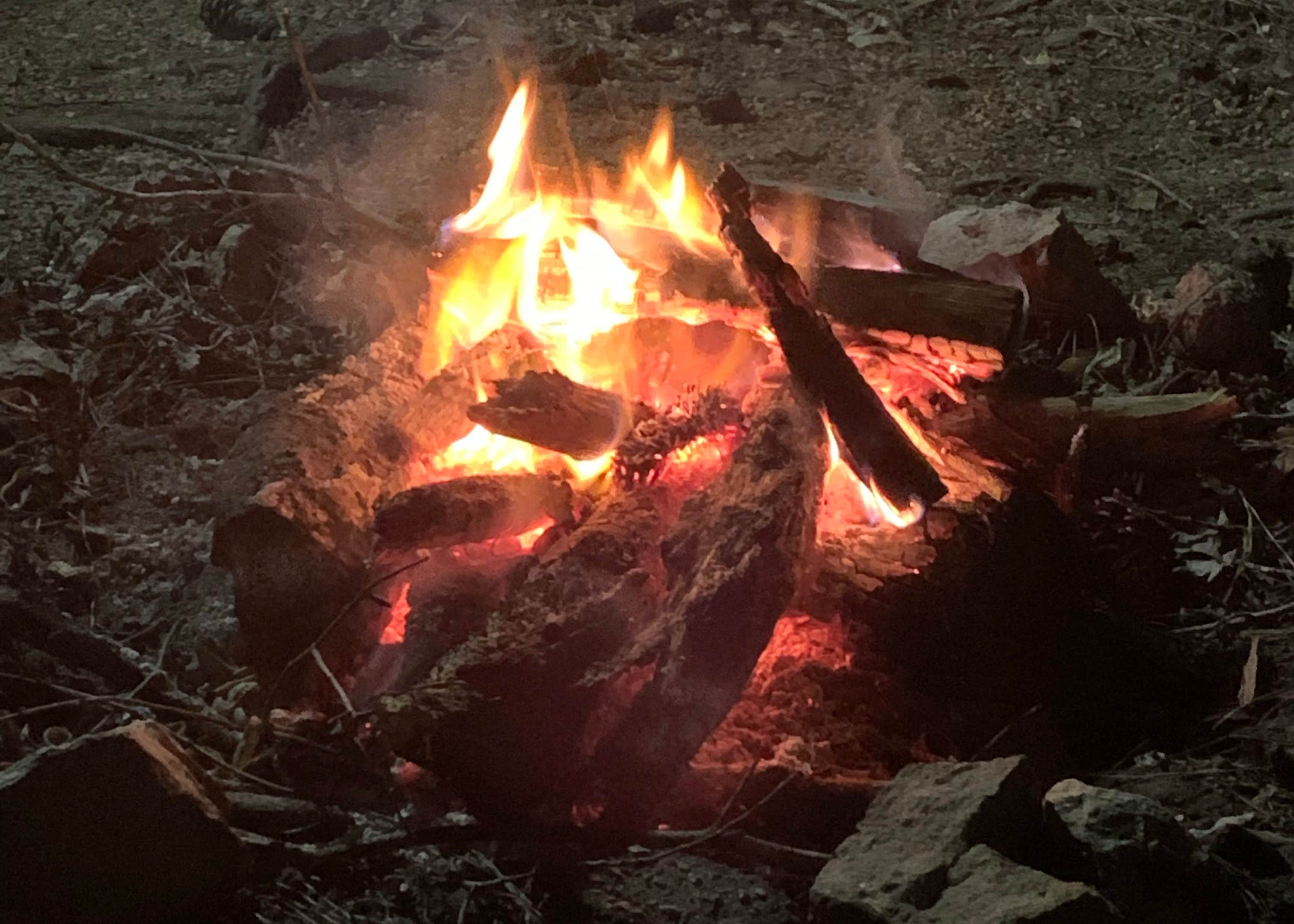 Turkey Creek Water Park Camping The Dyrt