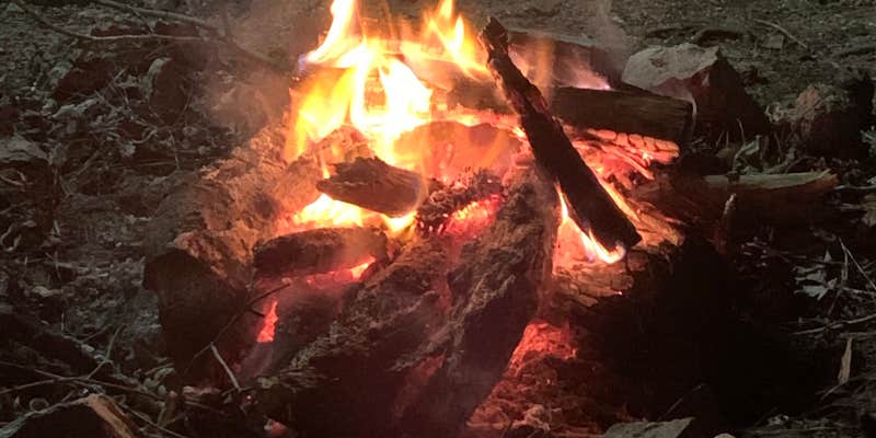 Camper submitted image from Turkey Creek Water Park