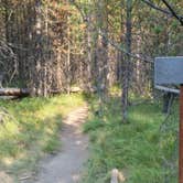 Review photo of 0D1 - Fairy Meadows - Yellowstone NP Back Country Campsite — Yellowstone National Park by Dexter I., October 1, 2021