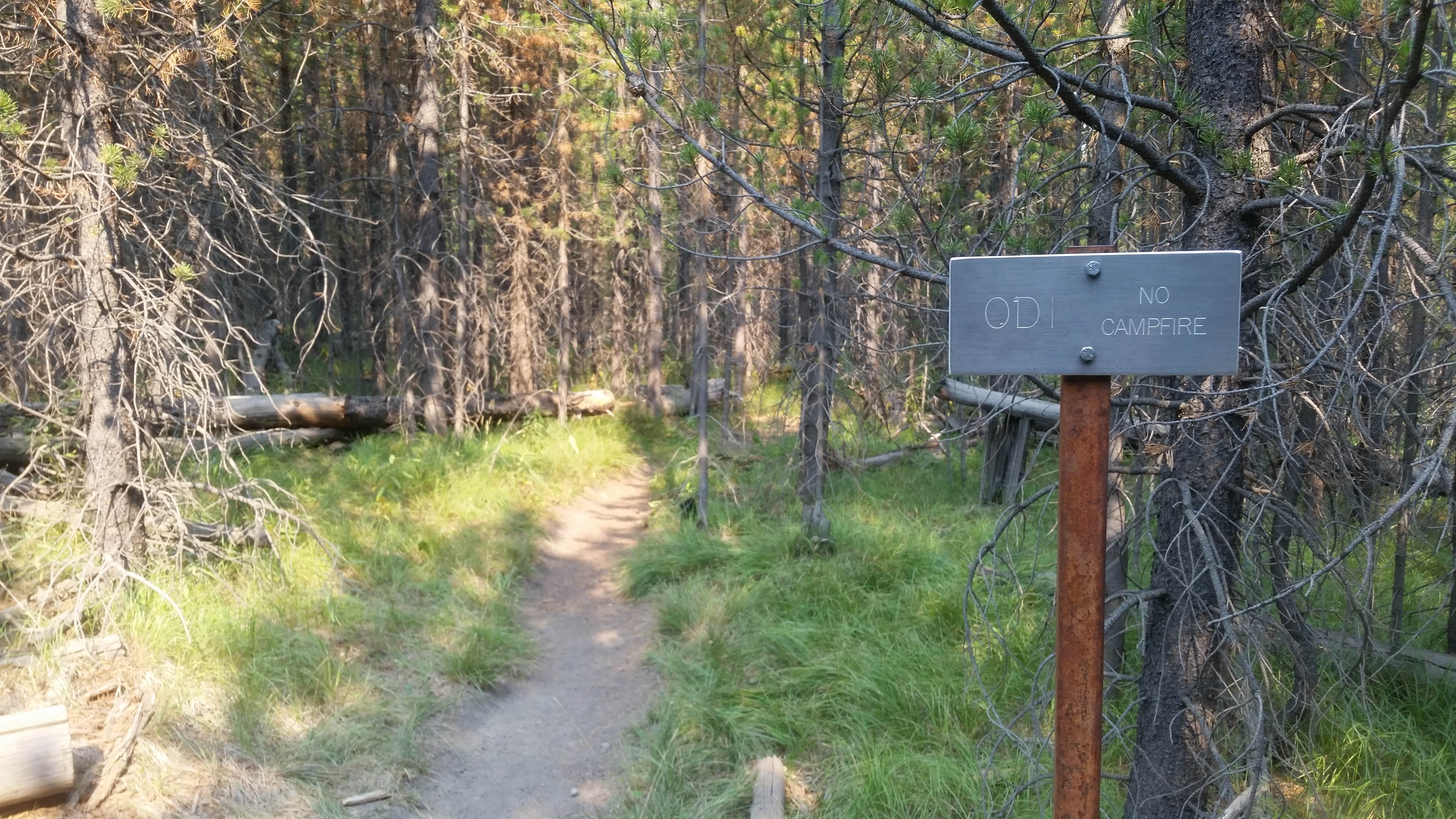 Camper submitted image from 0D1 - Fairy Meadows - Yellowstone NP Back Country Campsite — Yellowstone National Park - 1