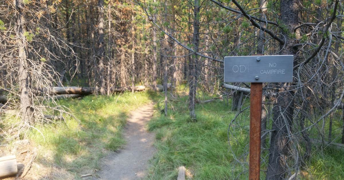 0D1 - Fairy Meadows - Yellowstone NP Back Country Campsite — Yellowstone National Park