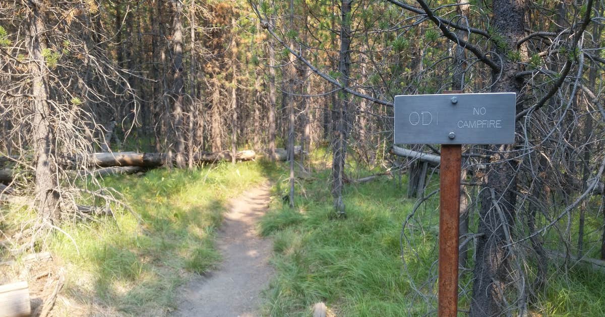0D1 - Fairy Meadows - Yellowstone NP Back Country Campsite — Yellowstone National Park