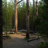 Review photo of 0D1 - Fairy Meadows - Yellowstone NP Back Country Campsite — Yellowstone National Park by Dexter I., October 1, 2021