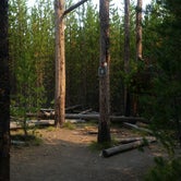 Review photo of 0D1 - Fairy Meadows - Yellowstone NP Back Country Campsite — Yellowstone National Park by Dexter I., October 1, 2021