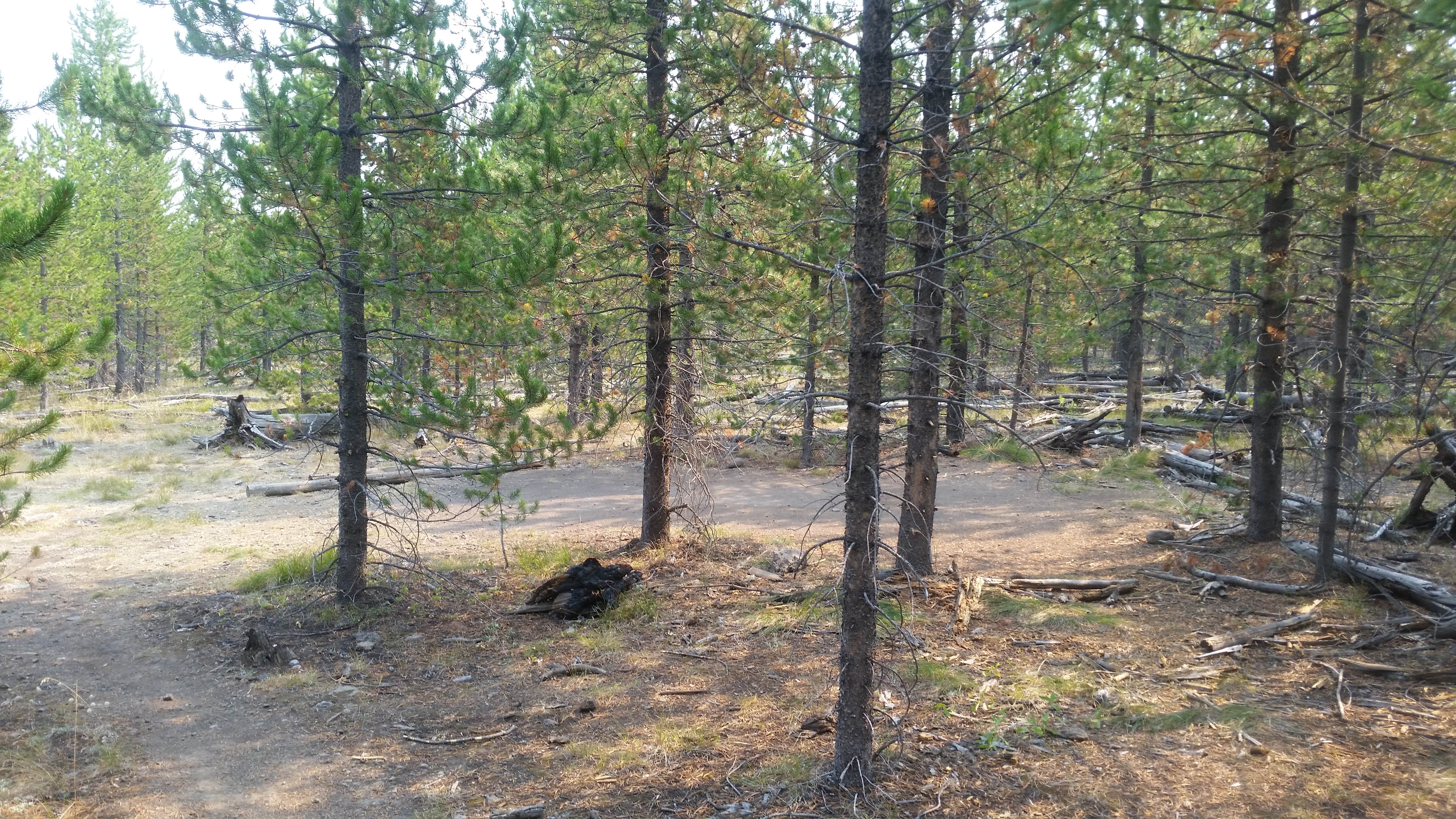 Camper-submitted photo at 0D1 - Fairy Meadows - Yellowstone NP Back Country Campsite — Yellowstone National Park near West Yellowstone, MT