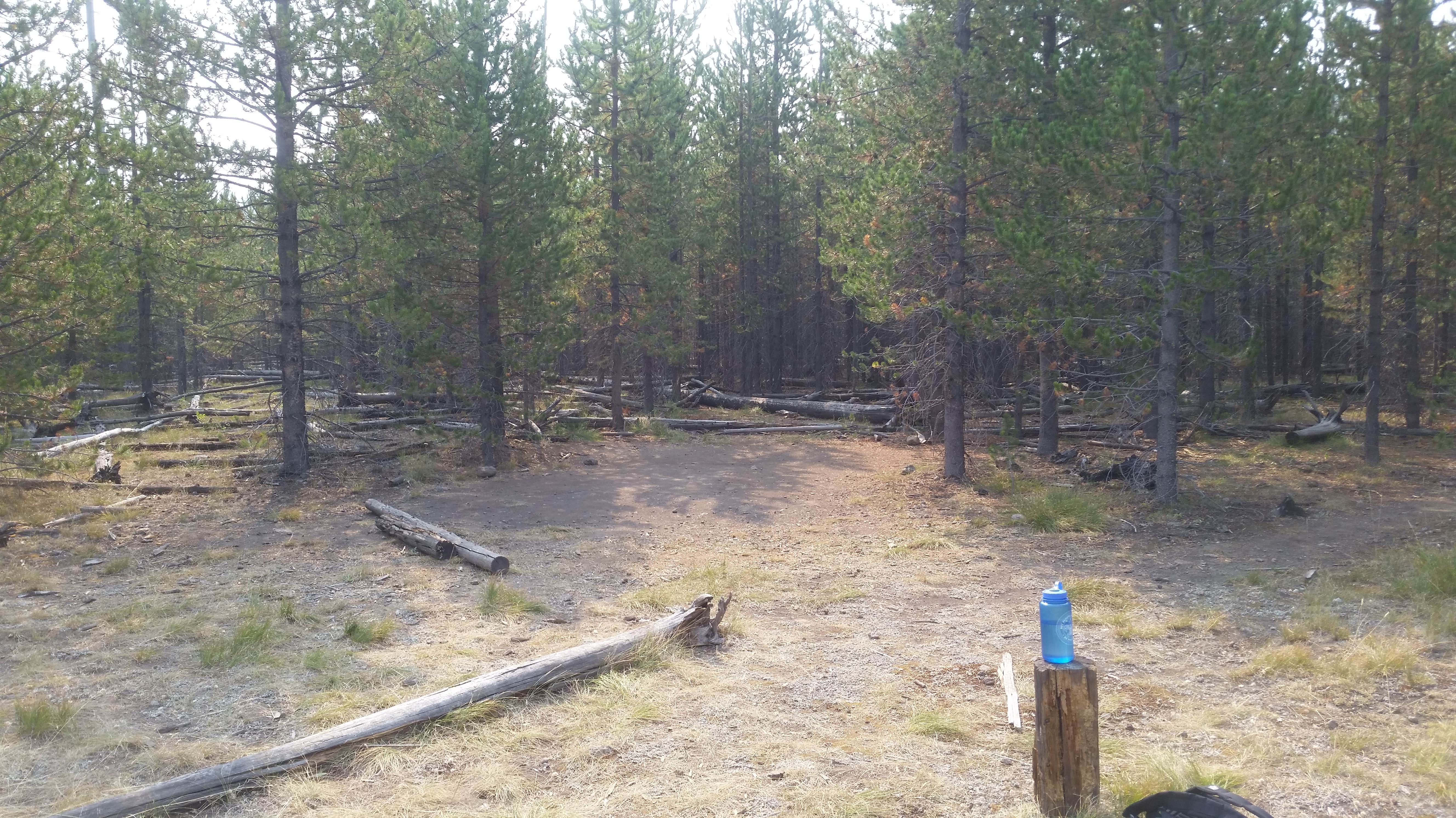 Camper-submitted photo at 0D1 - Fairy Meadows - Yellowstone NP Back Country Campsite — Yellowstone National Park near West Yellowstone, MT