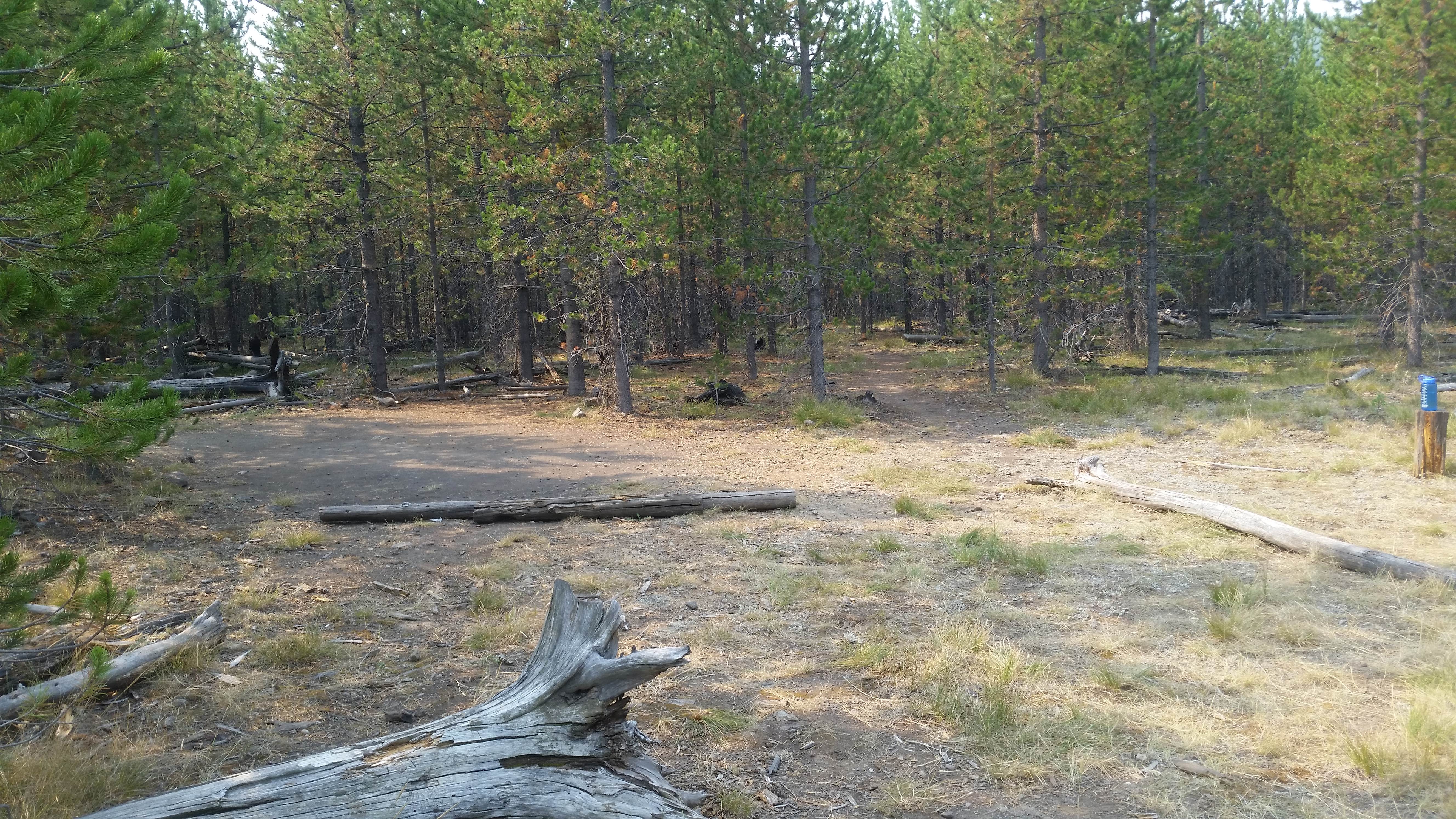 Camper-submitted photo at 0D1 - Fairy Meadows - Yellowstone NP Back Country Campsite — Yellowstone National Park near West Yellowstone, MT