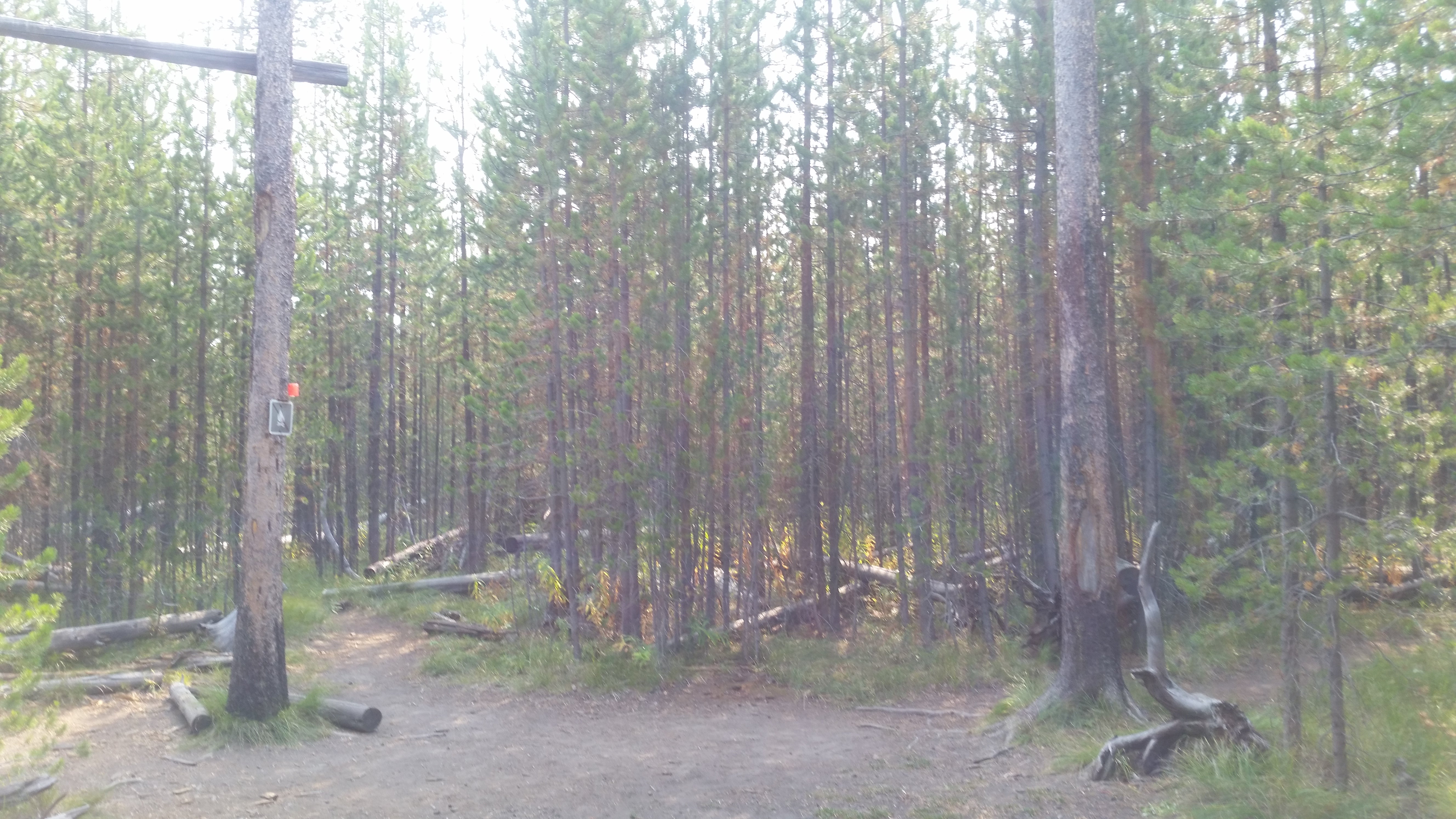 Camper submitted image from 0D1 - Fairy Meadows - Yellowstone NP Back Country Campsite — Yellowstone National Park - 4